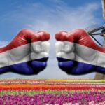 Netherlands vs. Holland