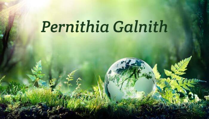 pernithia galnith