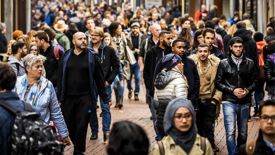 Race and ethnicity in the Netherlands