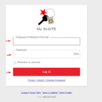 macys insite